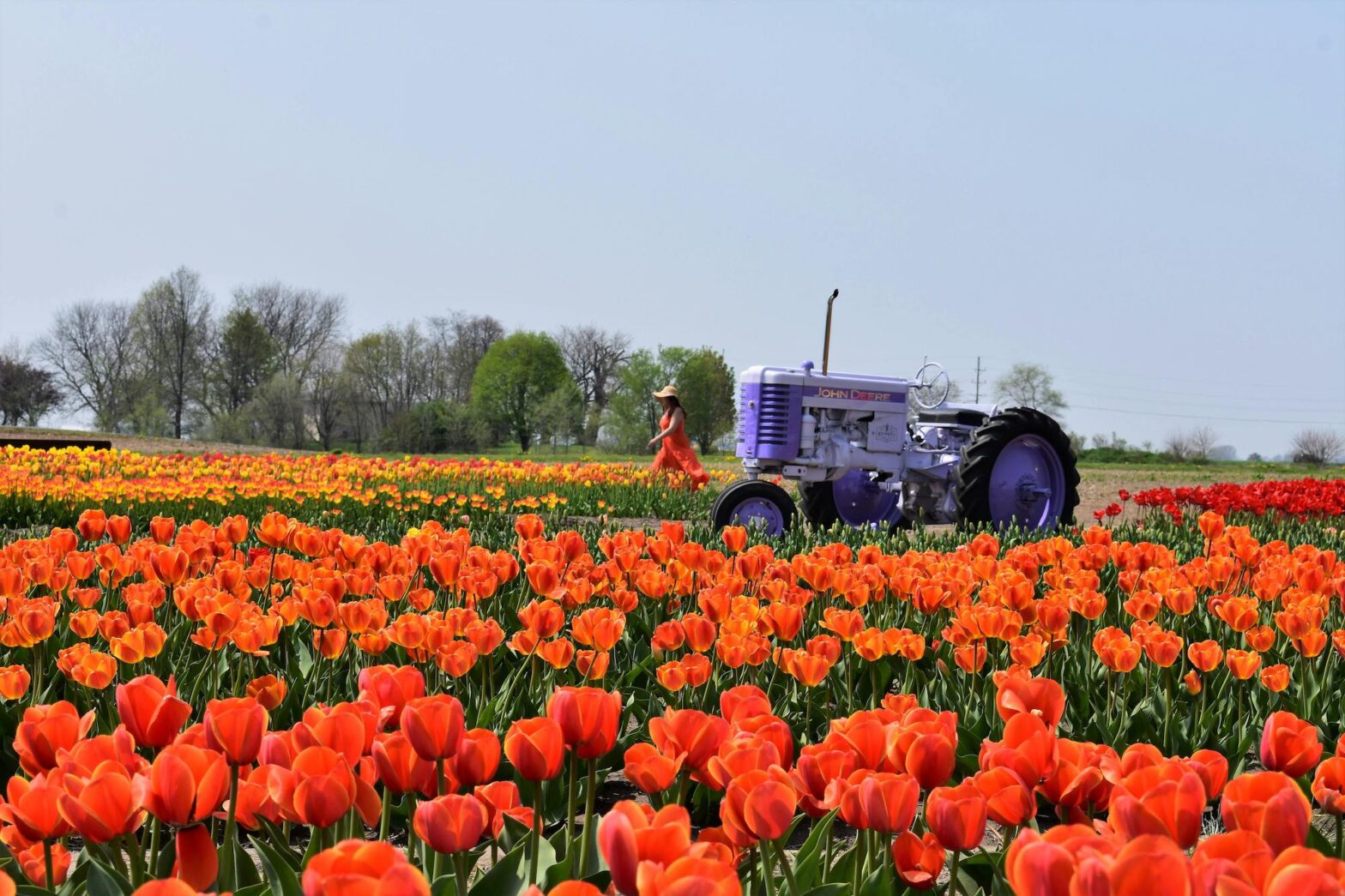 new tractor financed by TAG in a field of flowers